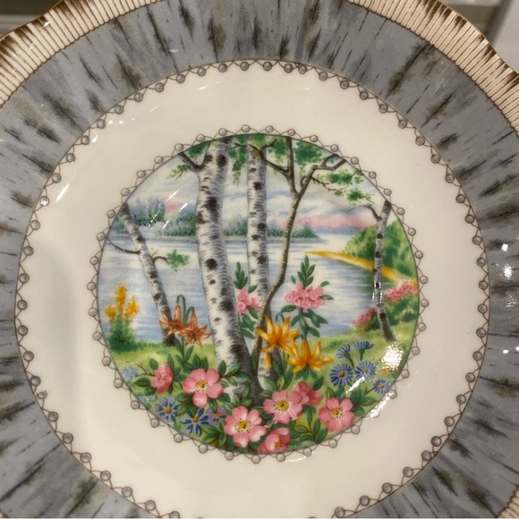 Vintage Royal Albert Silver Birch bone china teacup & saucer - Picture 5 of 12